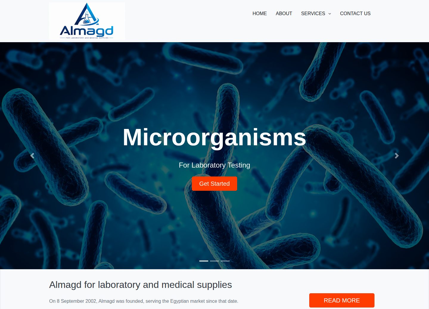 Almagd live website on a desktop